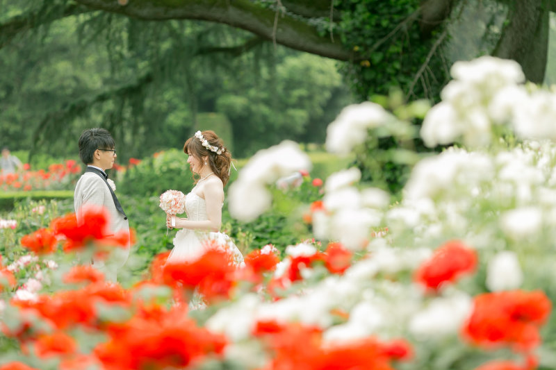 お花畑
