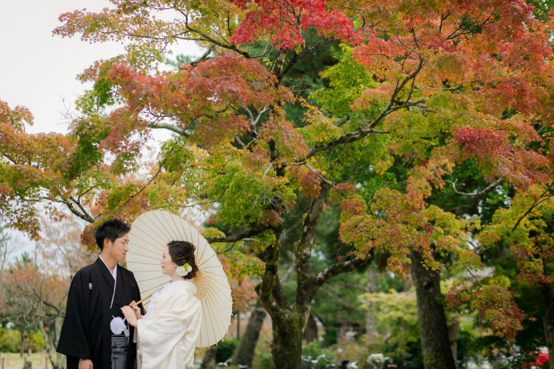 紅葉と