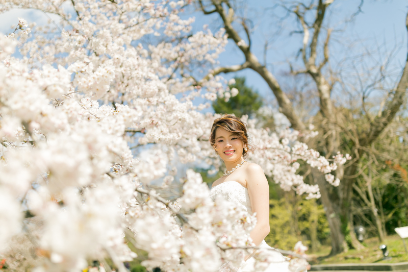 新婦さまソロ