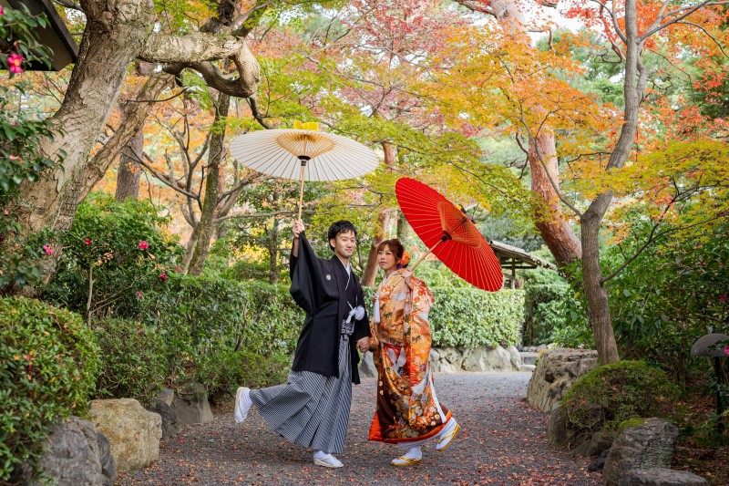 紅白の番傘♪