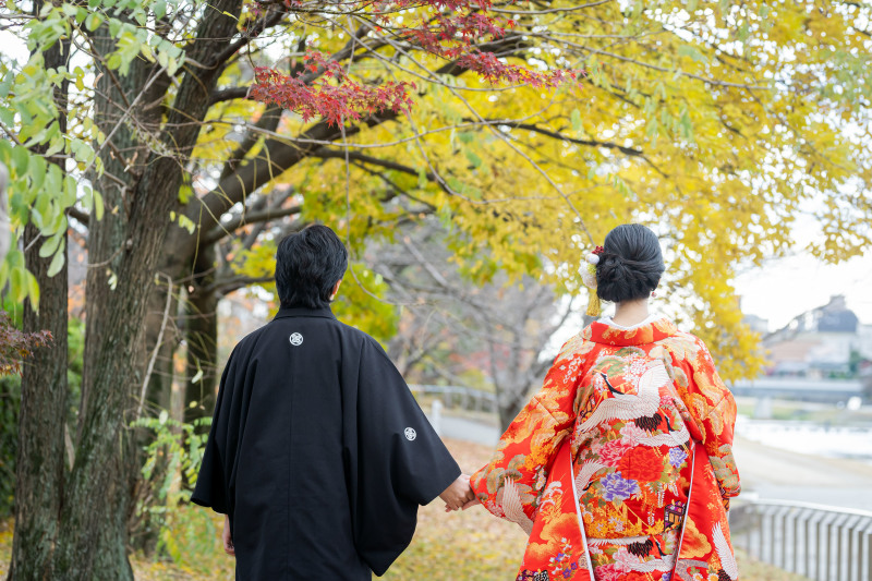 イチョウが彩る。