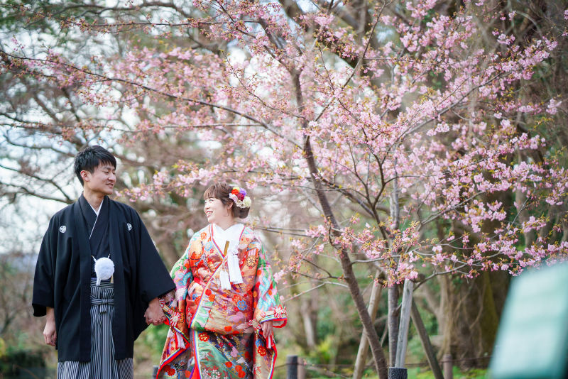 梅の花
