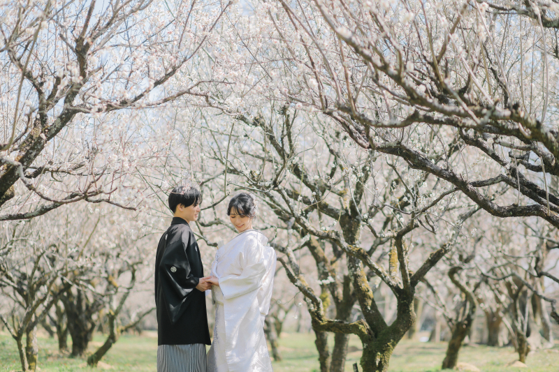 冬の大覚寺で、ひと足早い春を。