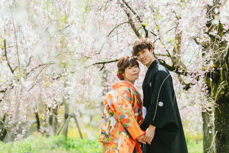 枝垂れ桜