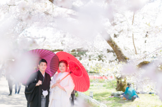 おふたりの世界♡さくらもお祝いwedding
