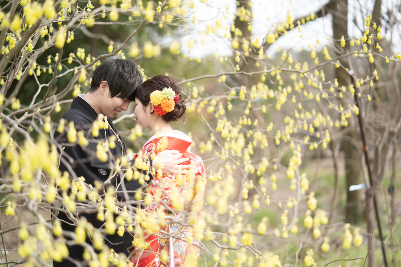 蝋梅✿