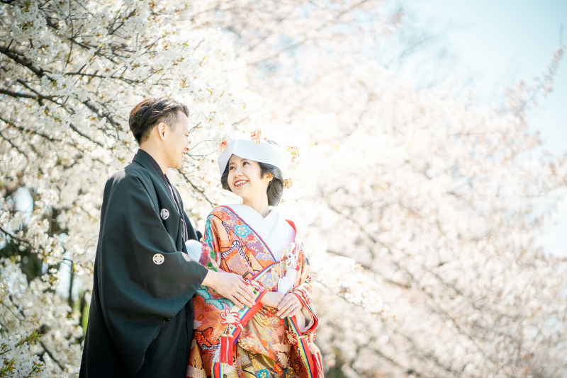 鴨川で春を感じる。京和婚フォト