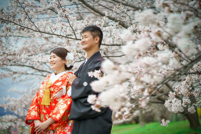 桜満開!