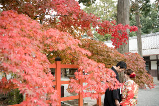 朱く美しく染まっていく♡紅葉和婚photo