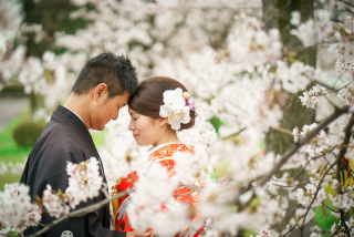 さくらの中で♪鴨川とシックに京和婚。