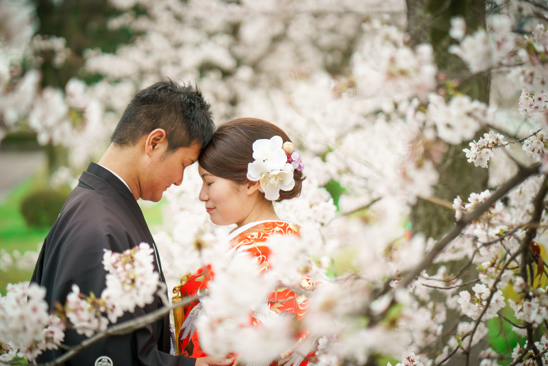 さくらの中で♪鴨川とシックに京和婚。
