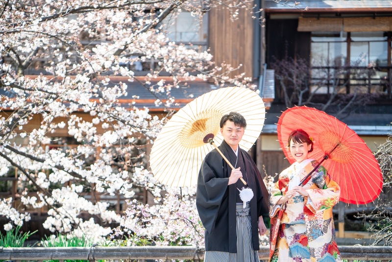 桜と番傘