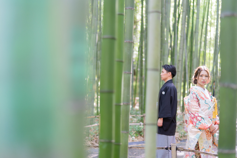 たゆたう竹林と