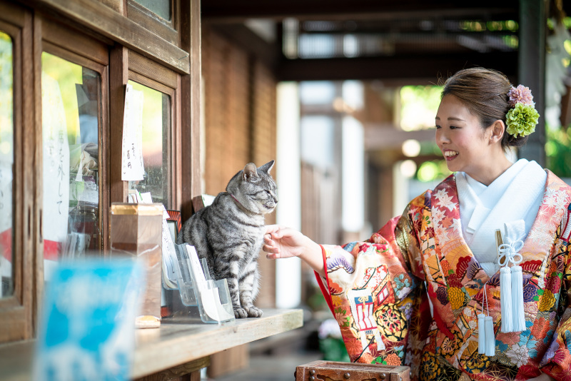 ねこもお祝いしにきてくれました♪