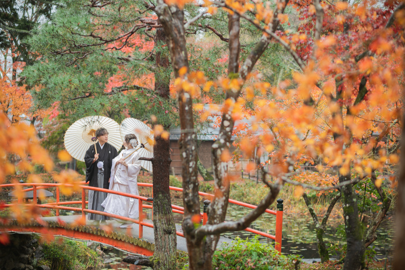 赤い橋が紅葉に映える