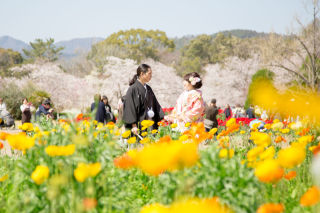 ガーデン和婚♪お花畑とサクラと♡
