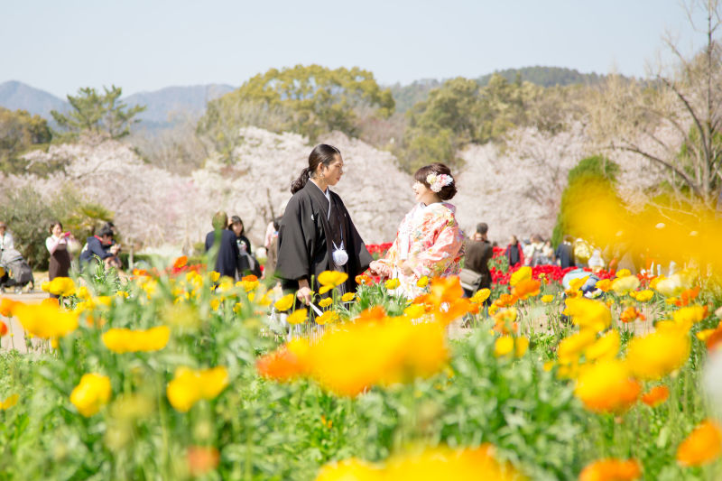 ガーデン和婚♪お花畑とサクラと♡