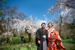 青空と満開の桜♡春の訪れ