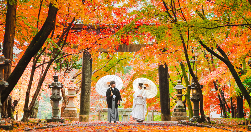 人混み避けたい方にはぜひ！！紅葉の大原野神社⛩️