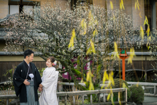 梅咲く季節♪京和婚フォト