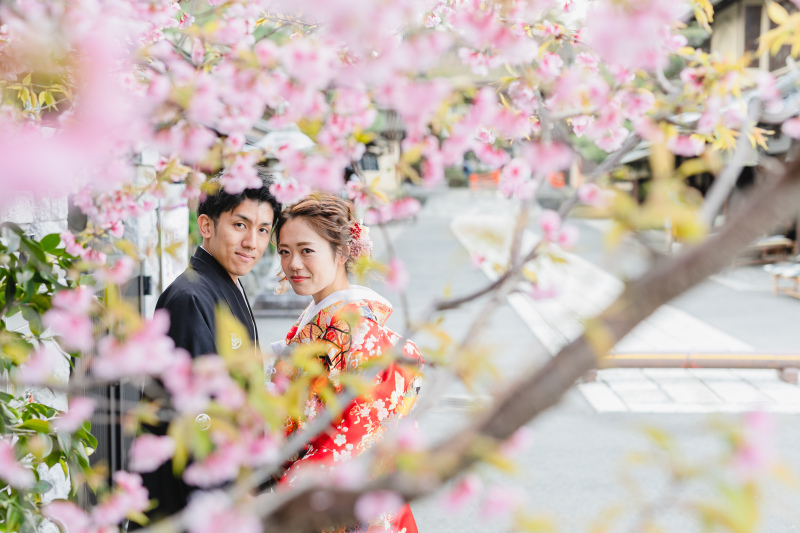 八重桜と美しく