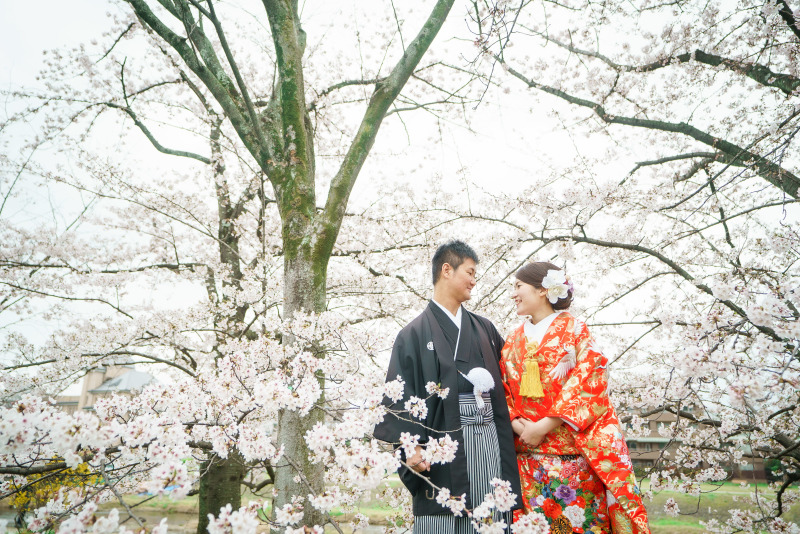 桜のシャワー