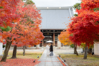 人混みを避けて楽しむ紅葉前撮りなら妙顕寺♪