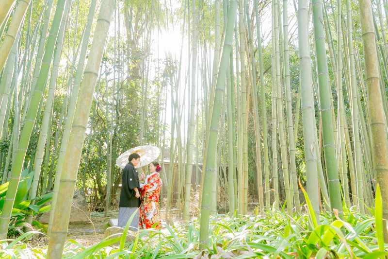 竹林