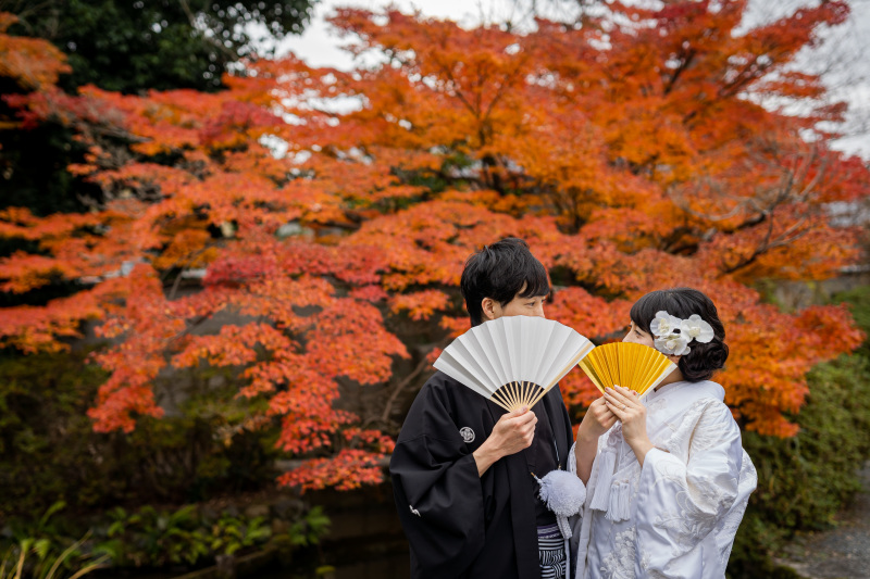 美しい紅葉と。
