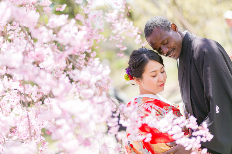 さまざまな桜をたのしむ