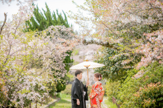 スタジオゼロ京都本店_【春】大人気!!京都の桜前撮り