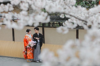 スタジオゼロ京都本店_【春】大人気!!京都の桜前撮り