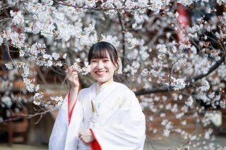 スタジオゼロ京都本店_【春】大人気!!京都の桜前撮り