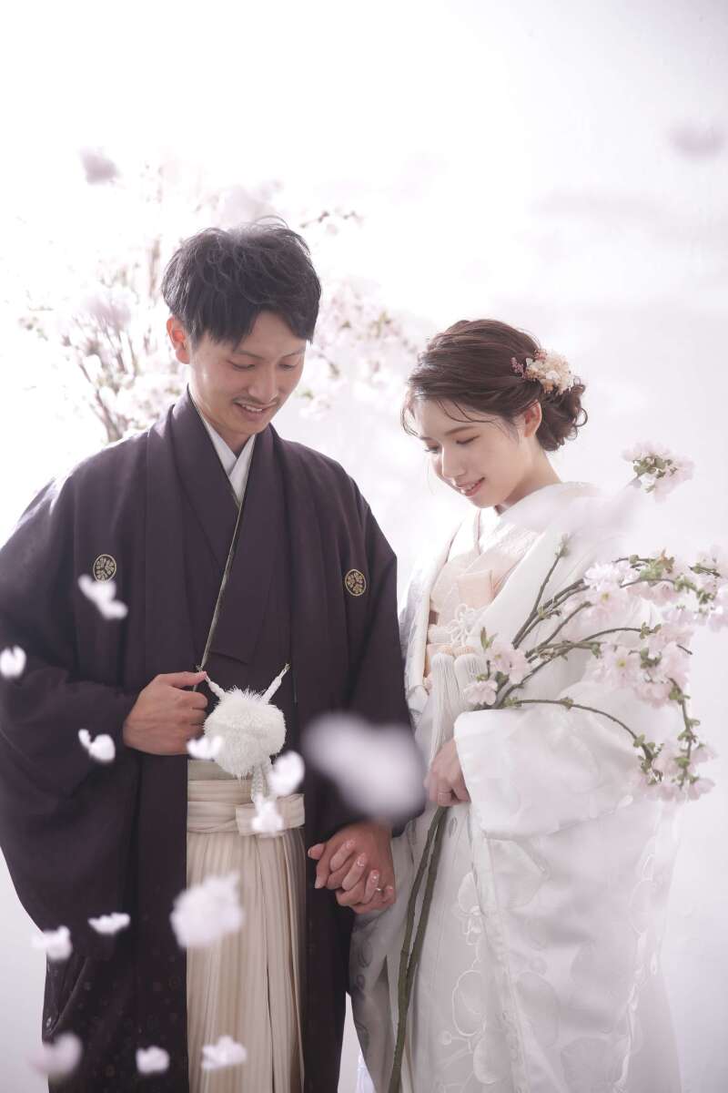 和装はさくらの背景で