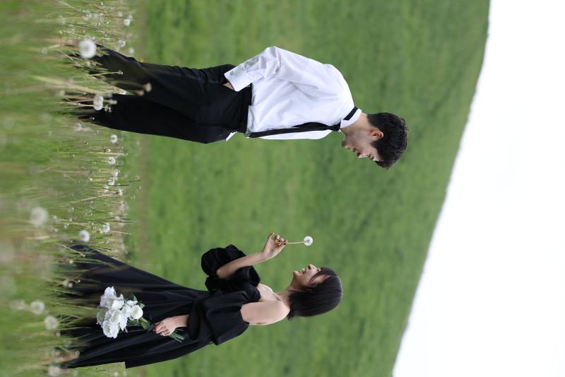 ふわっふわの綿毛がたくさん咲いていました♩