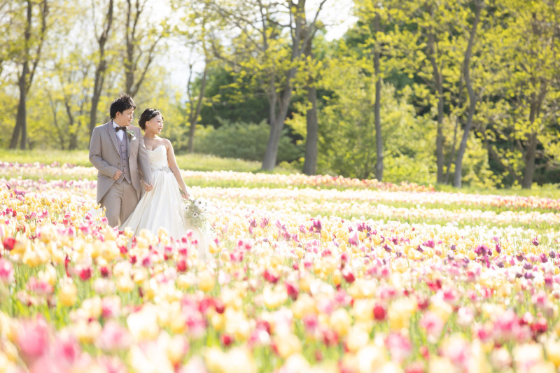 滝野と言えばチューリップ