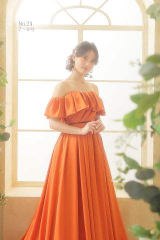 カラードレス No.24