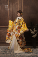 色打掛No.29（和装小物あり）