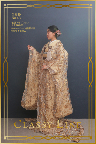 色打掛No.43（和装小物あり）