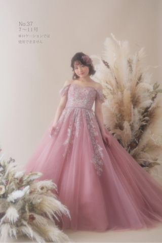 カラードレス No.37