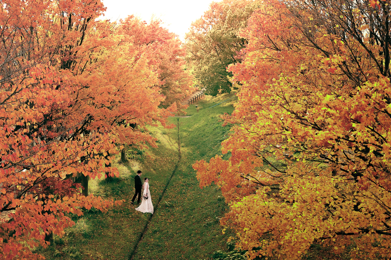 沢山の紅葉に囲まれた迫力ある写真!