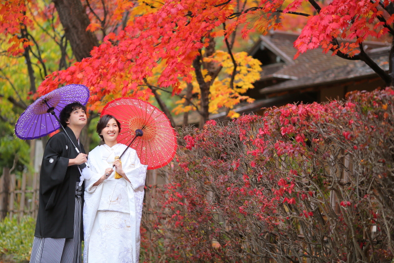 真っ赤な紅葉と♪