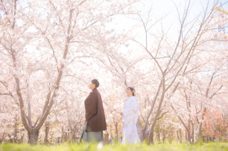 桜とスタジオと