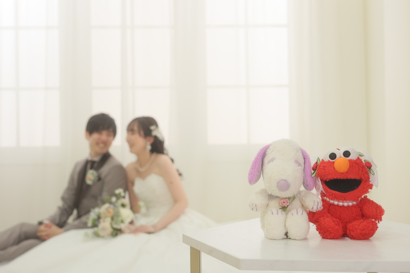 ぬいぐるみさんメインで!