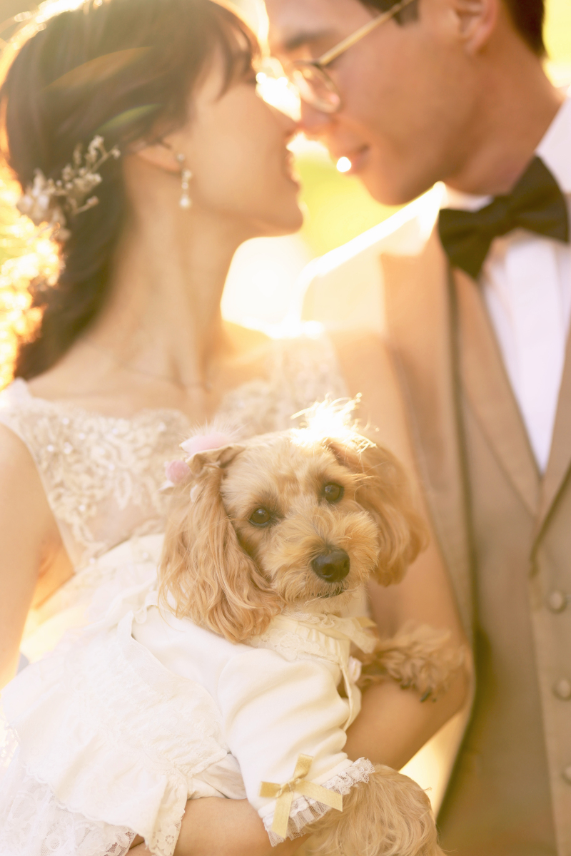 ペットと一緒にブライダルフォト❁