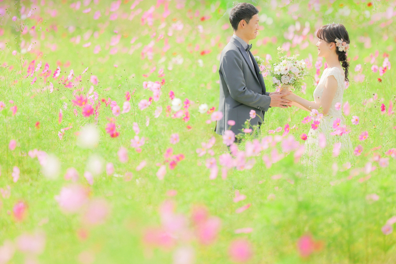 お花畑の中に入っているかのような1枚!