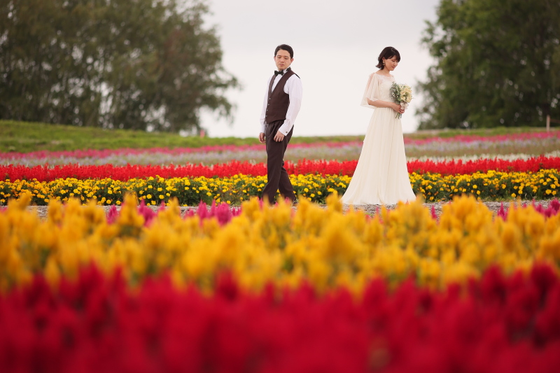 色とりどりなお花畑も