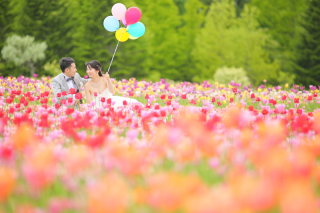 《伏見稲荷神社》・《滝野すずらん丘陵公園》和洋装ロケーション撮影