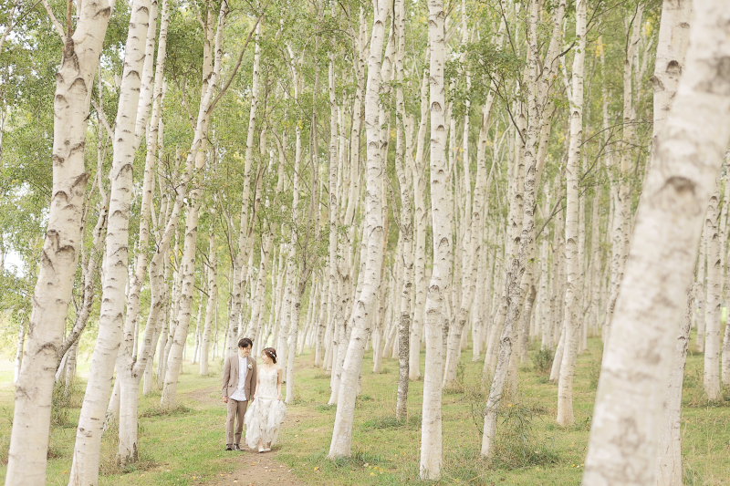 木々の中を通り抜けて