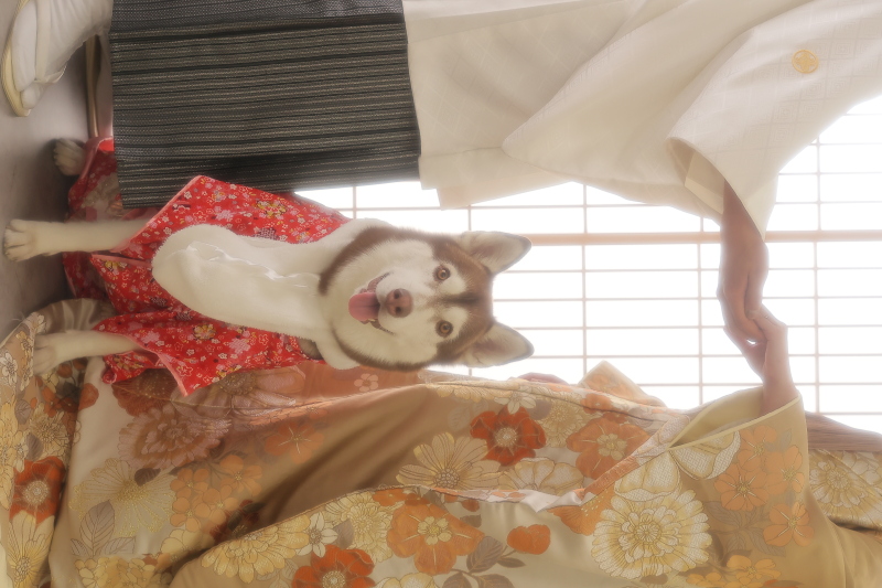 大好きなわんちゃんと*